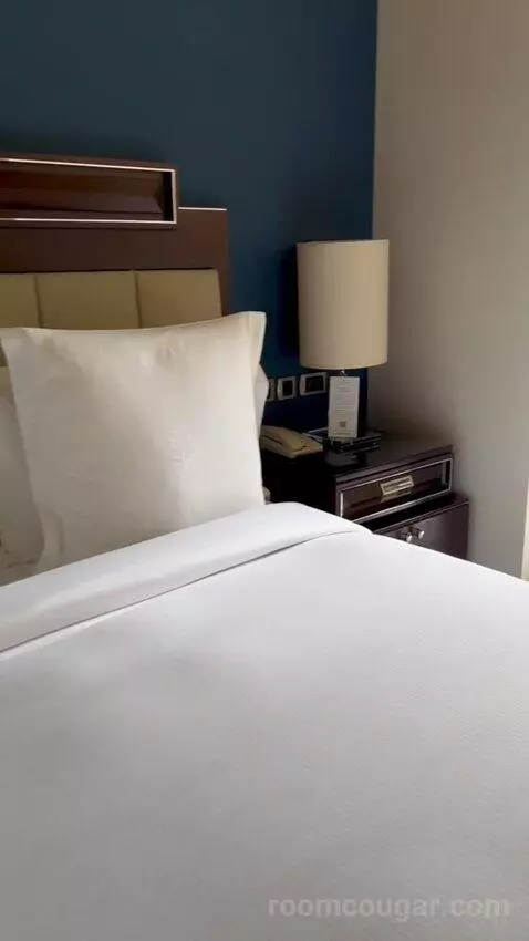 Bosphorus Palace Suite King Bed (#421) bed picture #5