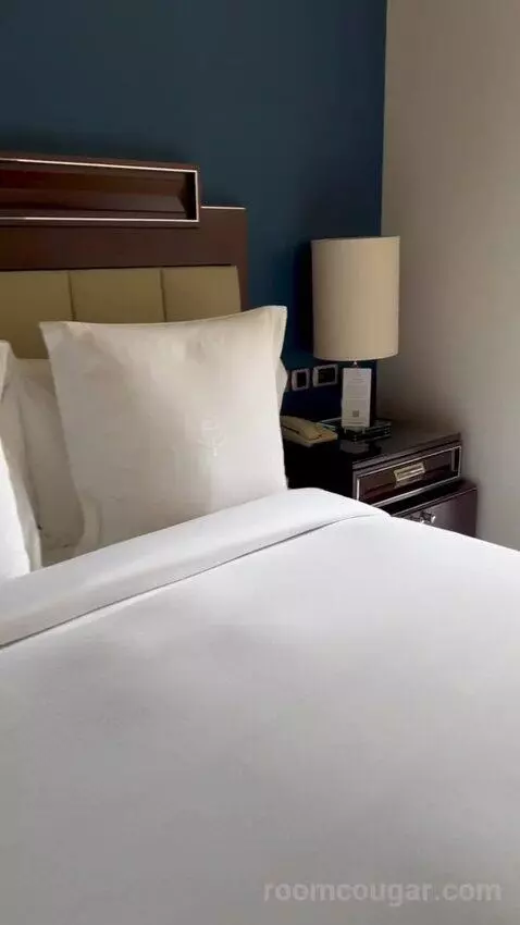 Bosphorus Palace Suite King Bed (#421) bed picture #6