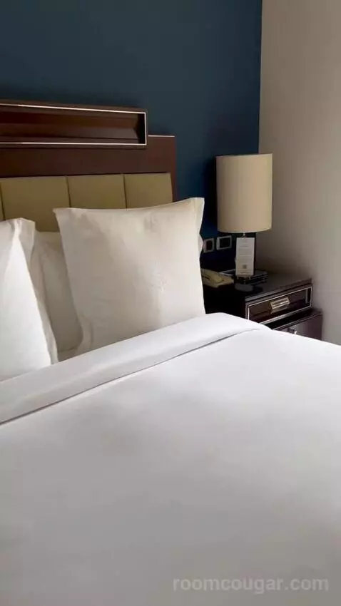 Bosphorus Palace Suite King Bed (#421) bed picture #7