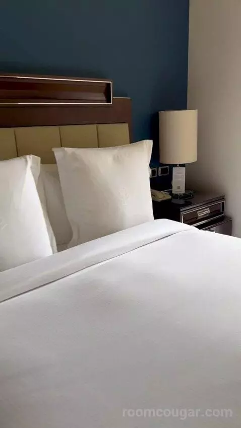 Bosphorus Palace Suite King Bed (#421) bed picture #8