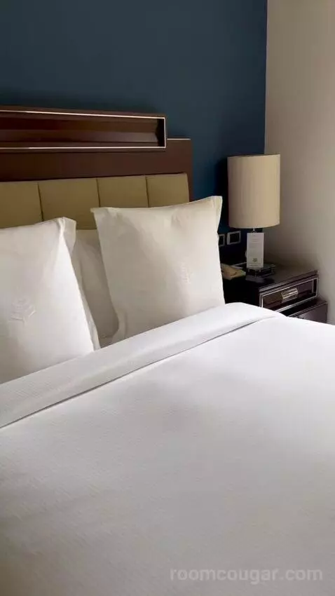 Bosphorus Palace Suite King Bed (#421) bed picture #9