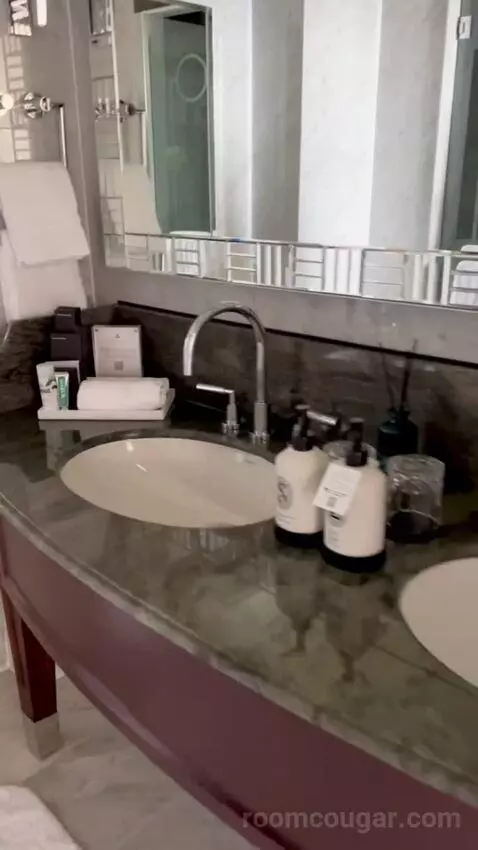 Bosphorus Palace Suite King Bed (#421) bathroom picture #6