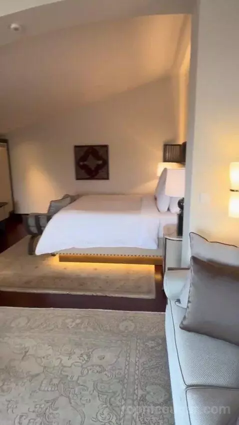 Shahzade One-Bedroom King Suite (#305) bed picture #4