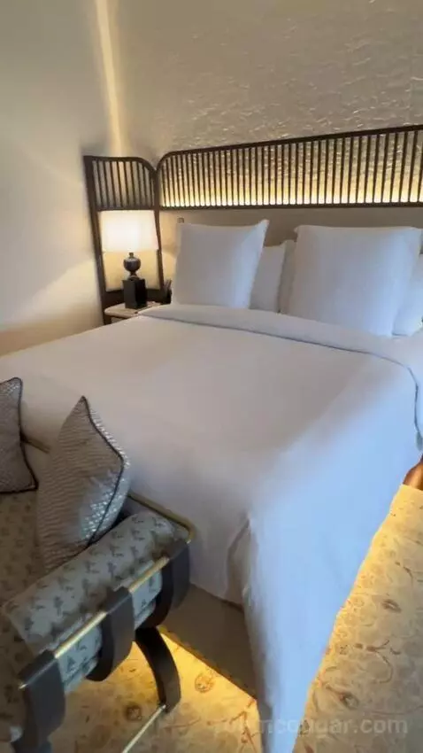 Shahzade One-Bedroom King Suite (#305) bed picture #9