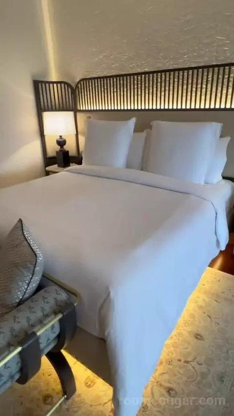 Shahzade One-Bedroom King Suite (#305) bed picture #12