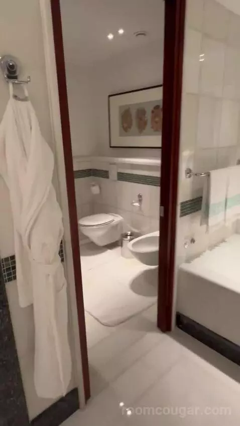 Shahzade One-Bedroom King Suite (#305) bathroom picture #1
