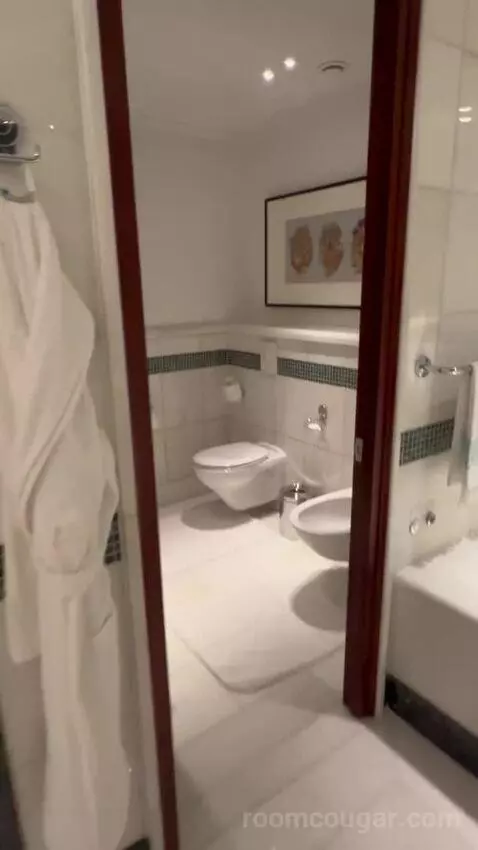 Shahzade One-Bedroom King Suite (#305) bathroom picture #3