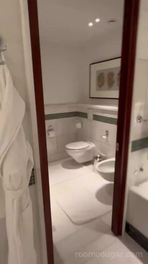 Shahzade One-Bedroom King Suite (#305) bathroom picture #4