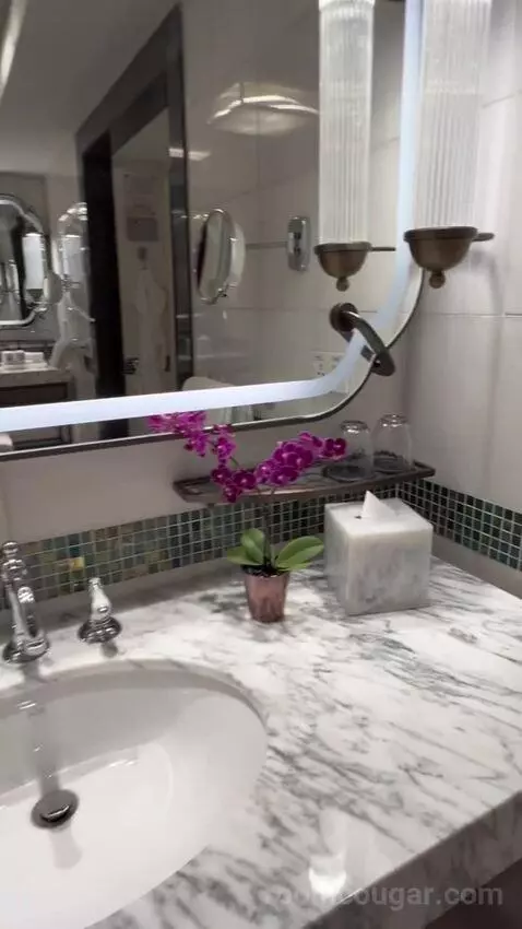 Shahzade One-Bedroom King Suite (#305) bathroom picture #8