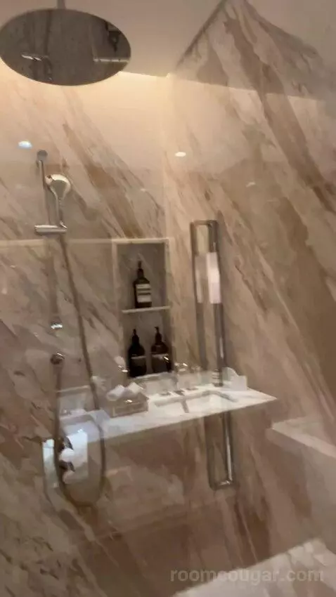 Deluxe King Room (#3125) bathroom picture #1
