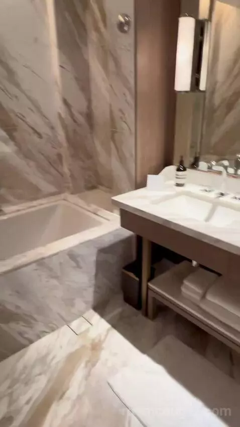 Deluxe King Room (#3125) bathroom picture #4