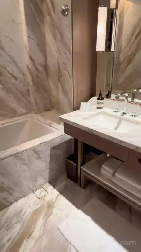 Deluxe King Room (#3125) bathroom picture #5