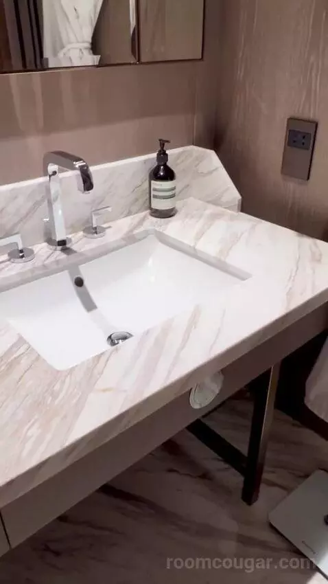 Premier King Room (#3213) bathroom picture #5