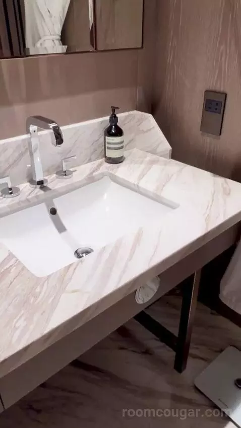 Premier King Room (#3213) bathroom picture #6