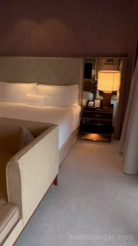 Premier King Room (#3213) picture #7
