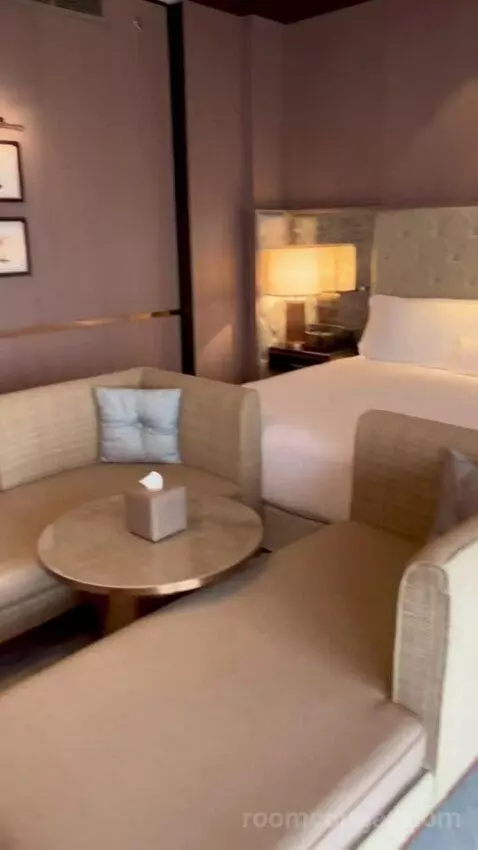 Premier King Room (#3213) picture #8