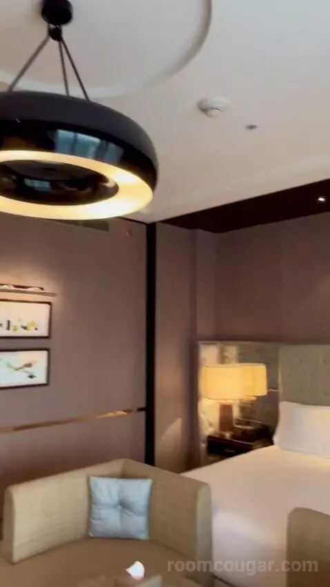 Premier King Room (#3213) picture #9