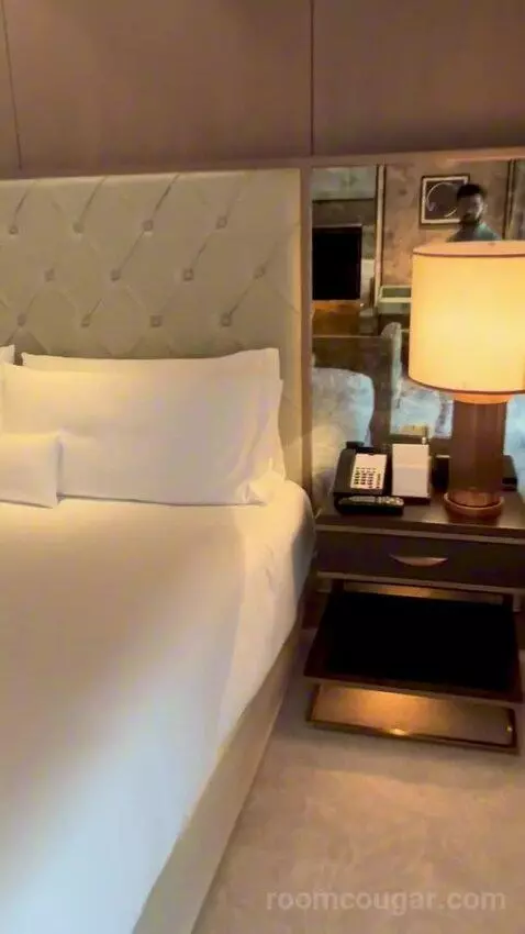 Premier King Room (#3213) picture #10