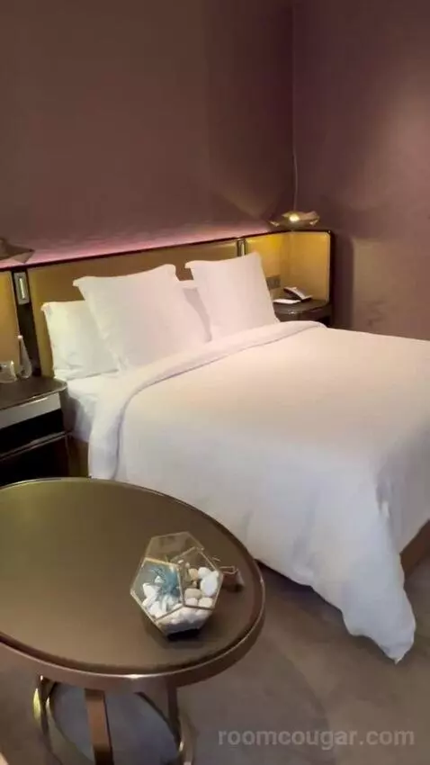 Deluxe King Room (#103) bed picture #4