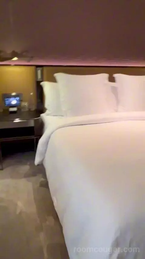 Deluxe King Room (#103) bed picture #5