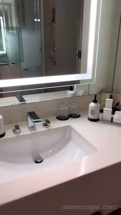 Deluxe King Room (#103) bathroom picture #7