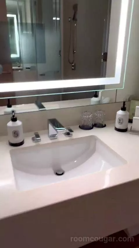 Deluxe King Room (#103) bathroom picture #8