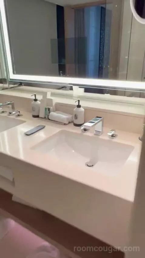 Four Seasons Deluxe Executive Suite (#215) bathroom picture #1