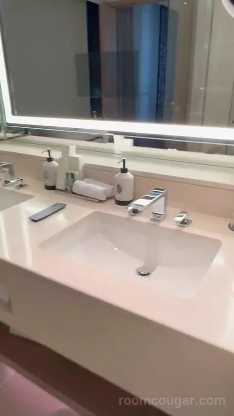Four Seasons Deluxe Executive Suite (#215) bathroom picture #2
