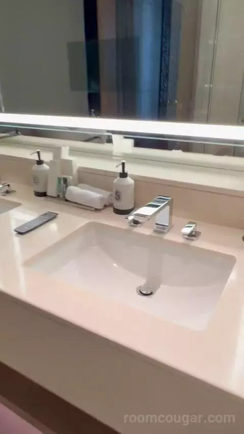 Four Seasons Deluxe Executive Suite (#215) bathroom picture #3