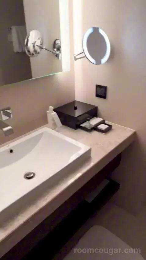 Junior Suite (#504) bathroom picture #6