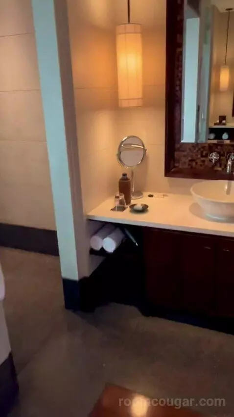 Chedi Club Suite bathroom picture #5