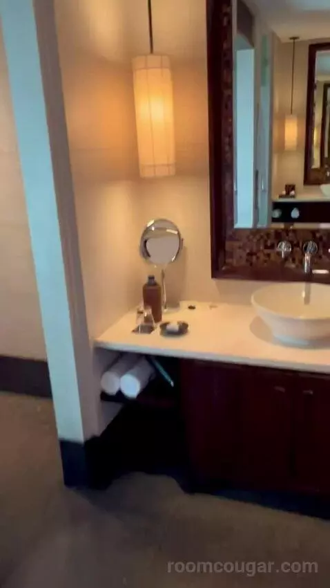Chedi Club Suite bathroom picture #7