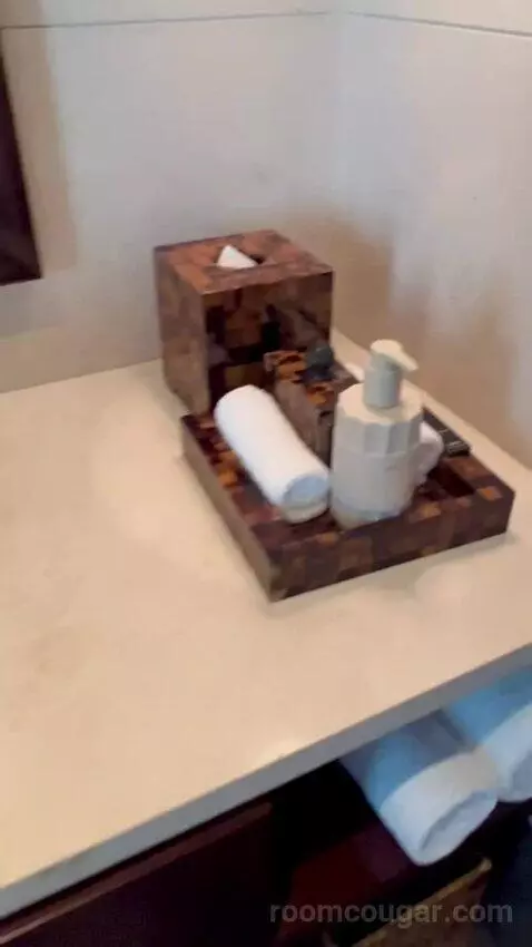 Chedi Club Suite bathroom picture #8