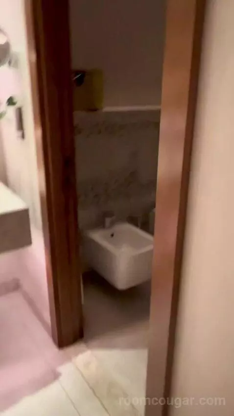 Deluxe Twin Room, Guest Room, 2 Double, Dubai Canal View (#803) bathroom picture #9