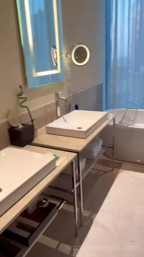 Deluxe Burj Khalifa View Room (#608) bathroom picture #3