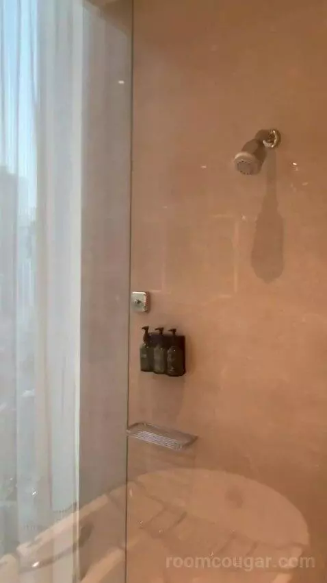 Deluxe Burj Khalifa View Room (#608) bathroom picture #6