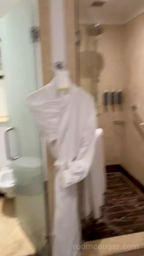 Deluxe Sea View, 2 Queens, Jungle Bay Waterpark Access bathroom picture #10