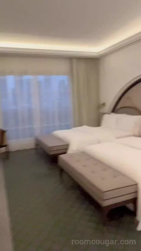 Deluxe Sea View, 2 Queens, Jungle Bay Waterpark Access bed picture #2