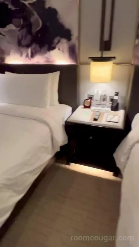 Deluxe Twin Room with Burj Khalifa View bed picture #7