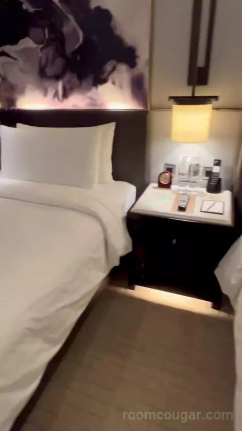 Deluxe Twin Room with Burj Khalifa View bed picture #8