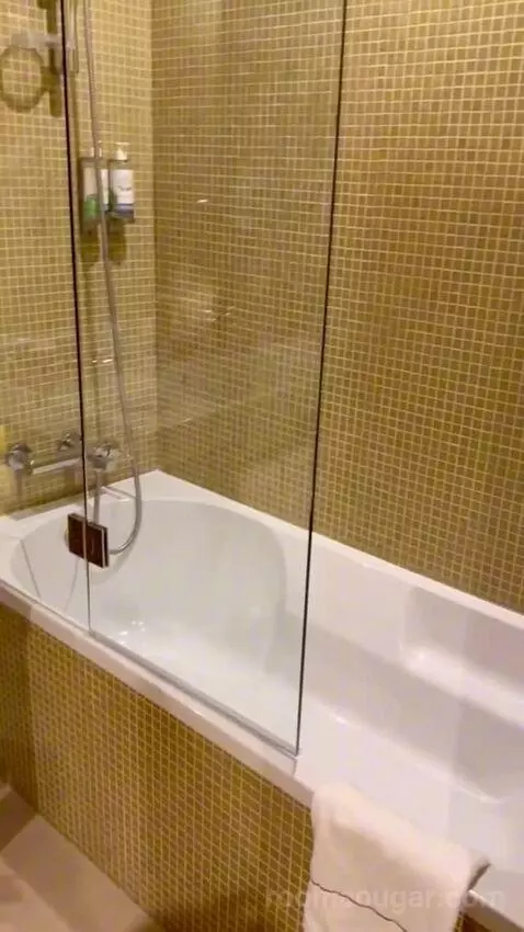 Superior Executive Double or Twin Room bathroom picture #2