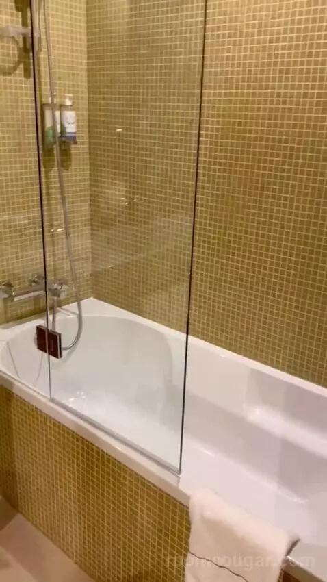 Superior Executive Double or Twin Room bathroom picture #3