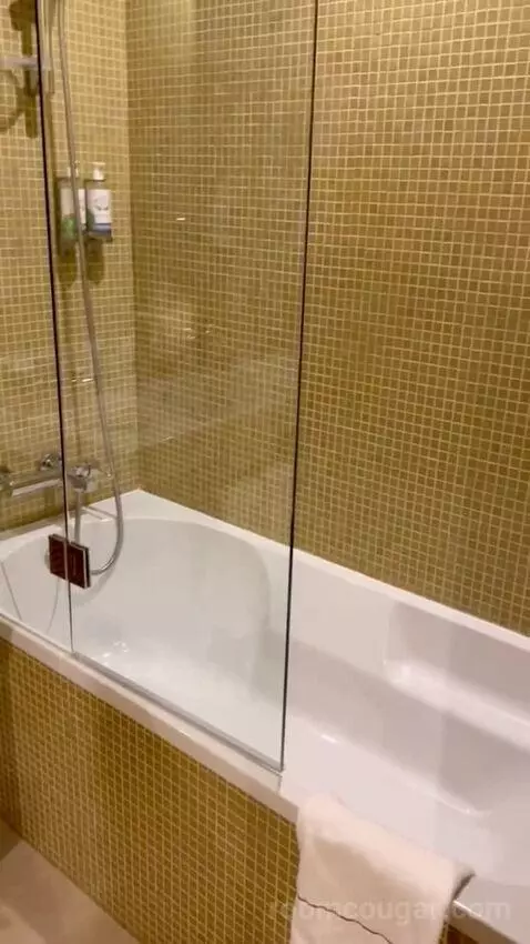 Superior Executive Double or Twin Room bathroom picture #4