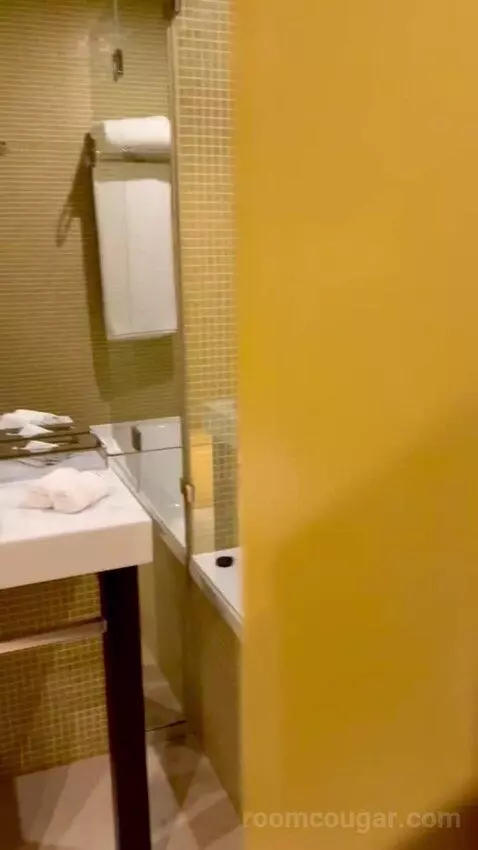 Superior Executive Double or Twin Room bathroom picture #8