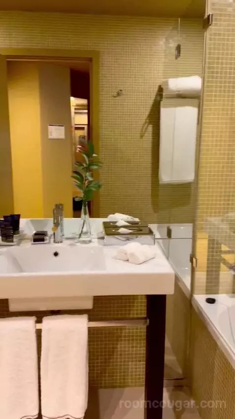 Superior Executive Double or Twin Room bathroom picture #10