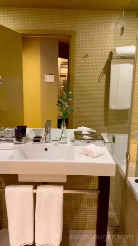 Superior Executive Double or Twin Room bathroom picture #12