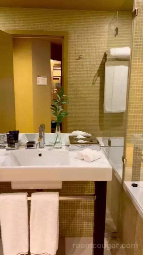 Superior Executive Double or Twin Room picture #24