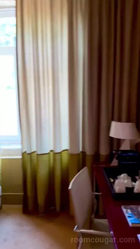 Superior Executive Double or Twin Room picture #9