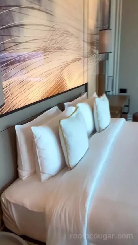 Zaabeel Room King bed picture #6
