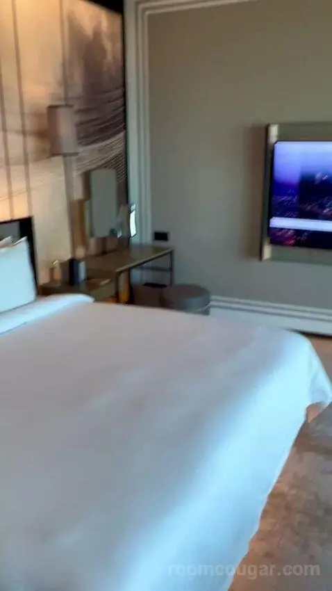 Zaabeel Room King bed picture #10
